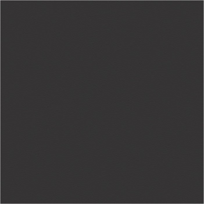 Paloma black