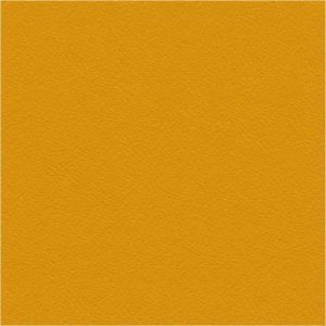 Cori mustard