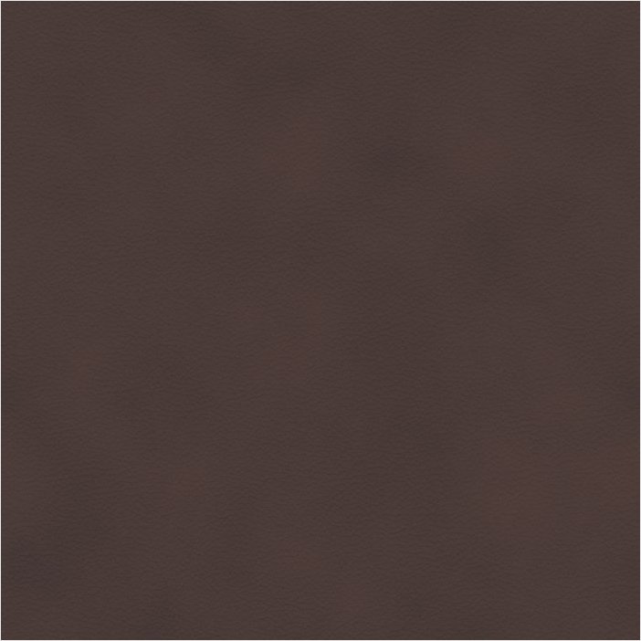 Paloma chocolate