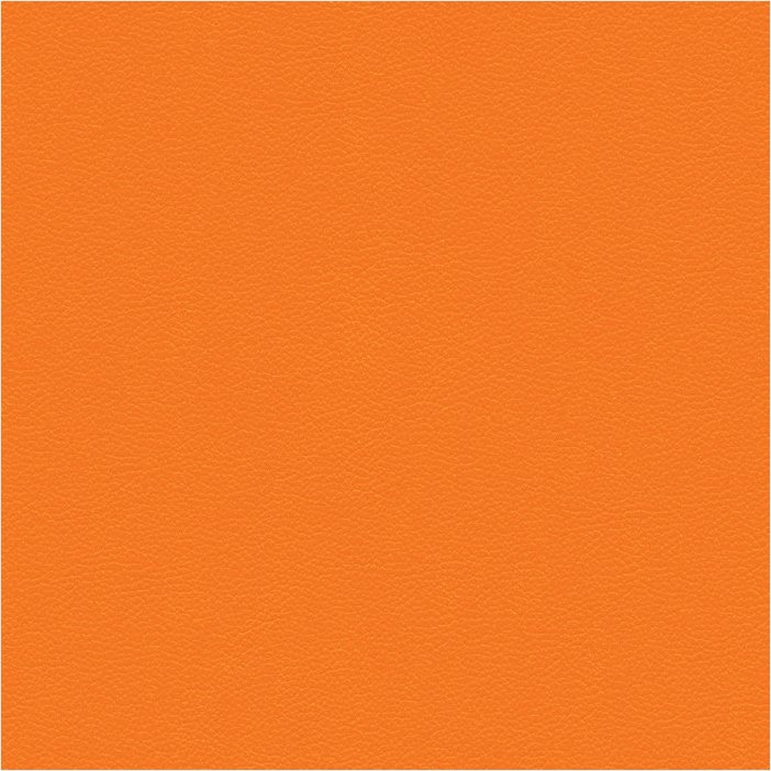Paloma clementine