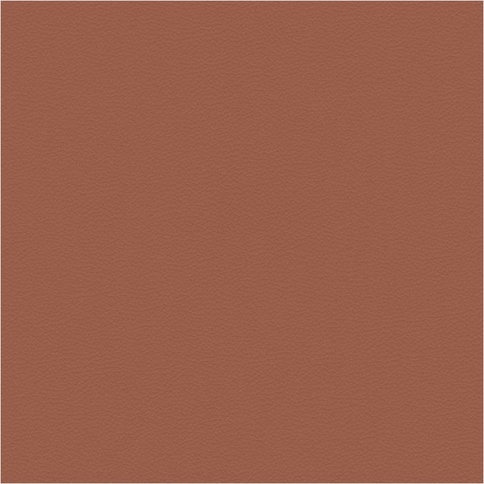 Paloma copper
