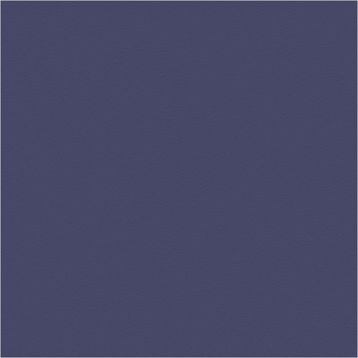 Paloma indigo
