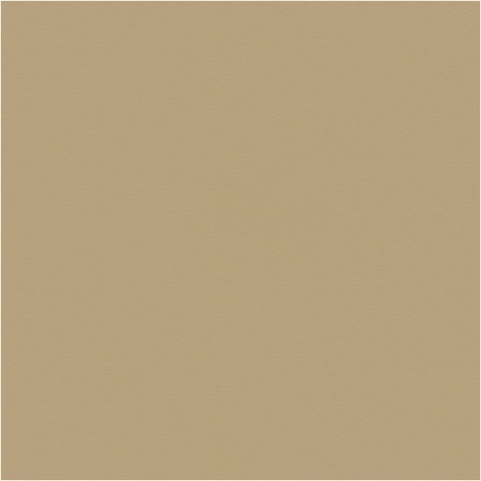 Paloma olive