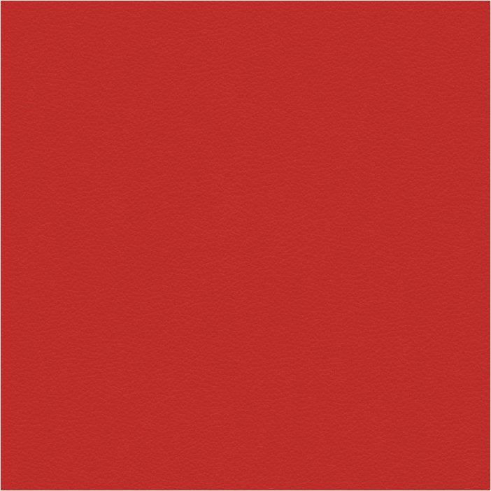 Paloma tomato