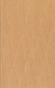 Oak beech wood