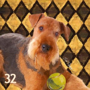 Airedale