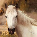 arabian horse white
