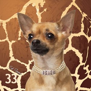 Tan Chihuahua