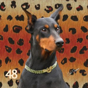 Doberman