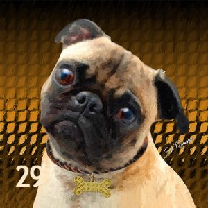 Pug