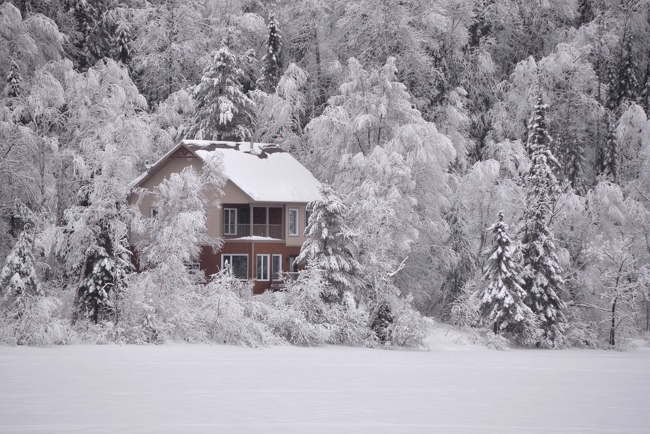 snow covered house in winter forest