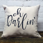 Oh Darlin little birdie throw pillow